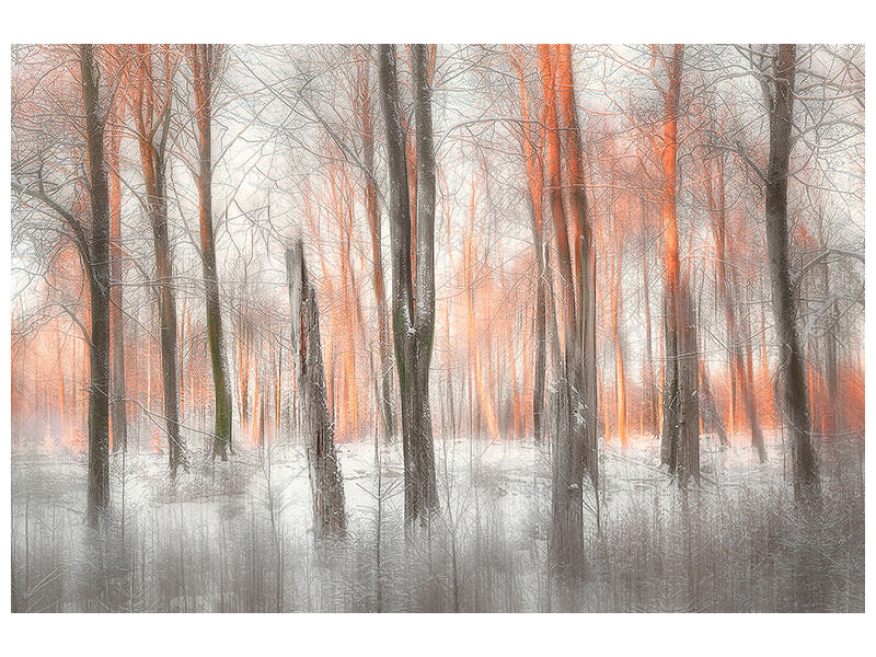 5-piece-canvas-print-evening-light