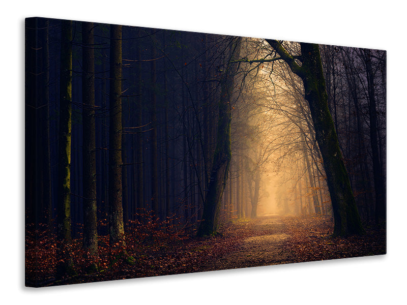 3-piece-canvas-print-evening-mood-in-the-forest