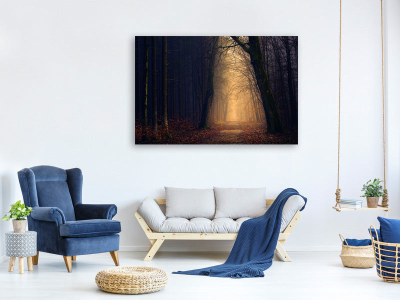 5-piece-canvas-print-evening-mood-in-the-forest