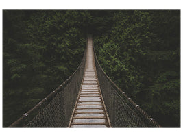panoramic-canvas-print-exciting-bridge