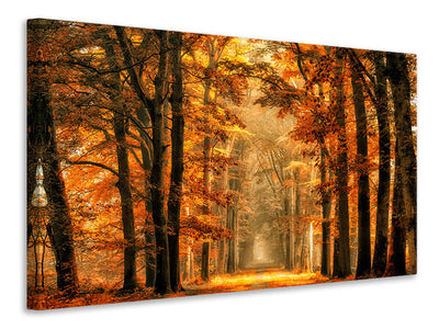 4-piece-canvas-print-exit-the-portal