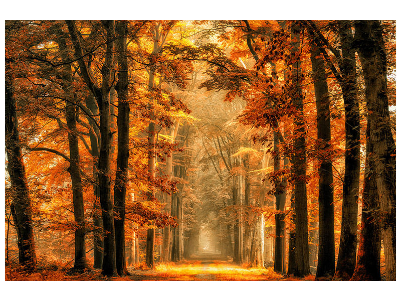 panoramic-canvas-print-exit-the-portal