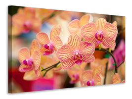 4-piece-canvas-print-exotic-orchids