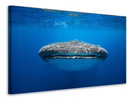 4-piece-canvas-print-face-to-face-with-a-whale-shark