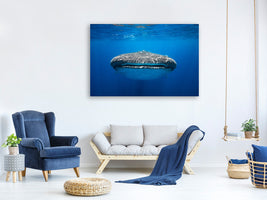3-piece-canvas-print-face-to-face-with-a-whale-shark