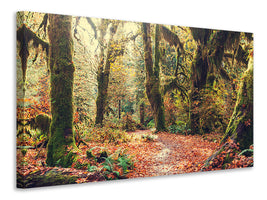 modern-4-piece-canvas-print-fairies-forest