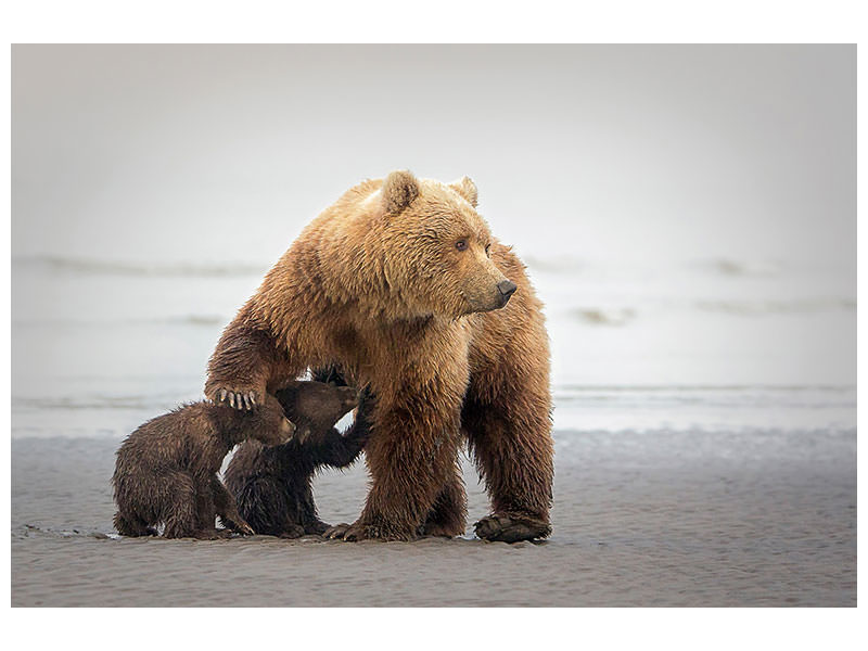 5-piece-canvas-print-family-time