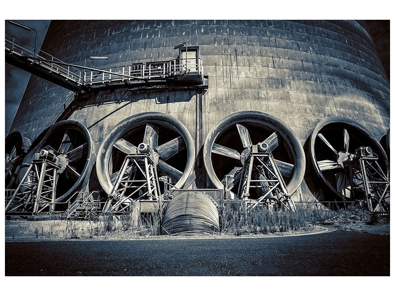 5-piece-canvas-print-fans-xxl