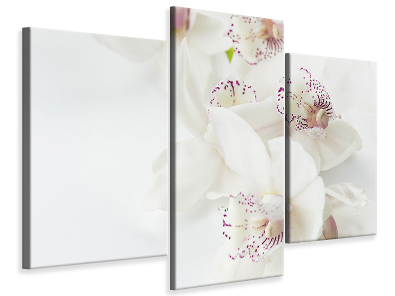 5-piece-canvas-print-fantastic-orchids