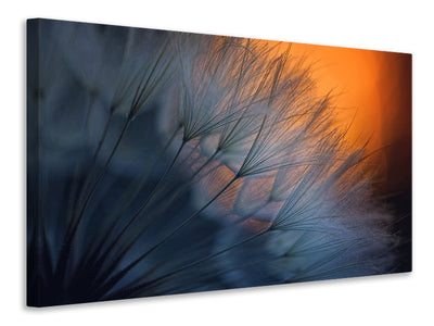 3-piece-canvas-print-feathers-p