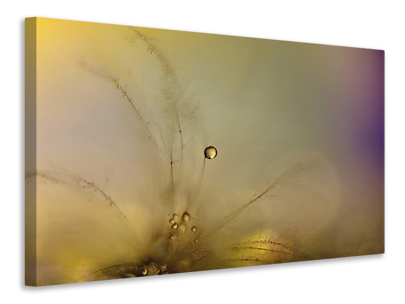 modern-4-piece-canvas-print-feeling-of-a-new-day