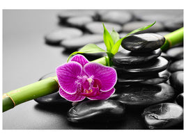4-piece-canvas-print-feng-shui-orchid