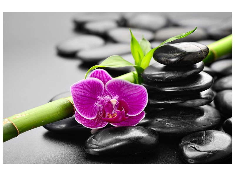 4-piece-canvas-print-feng-shui-orchid