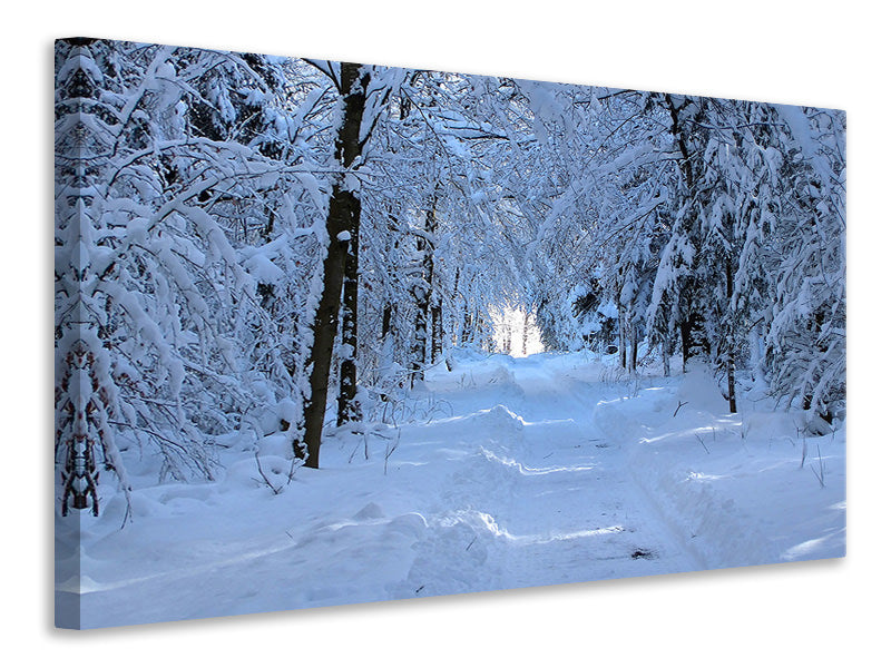 3-piece-canvas-print-finally-winter