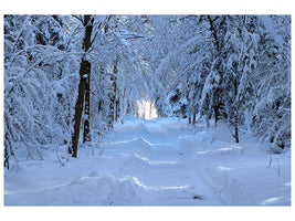 3-piece-canvas-print-finally-winter