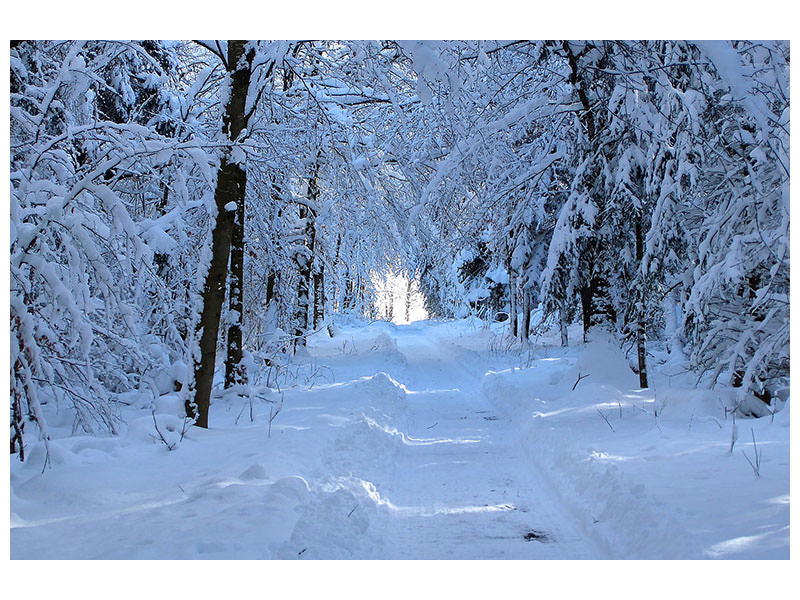 3-piece-canvas-print-finally-winter