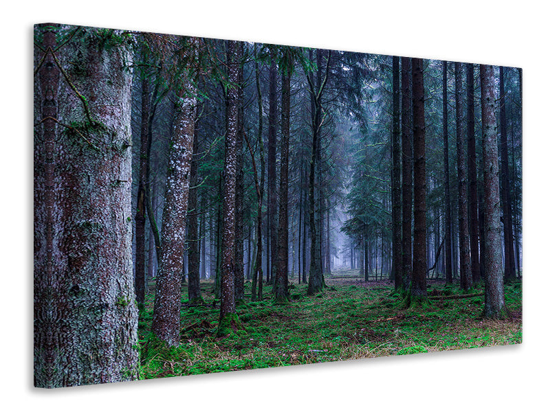 3-piece-canvas-print-fir-trees-forest