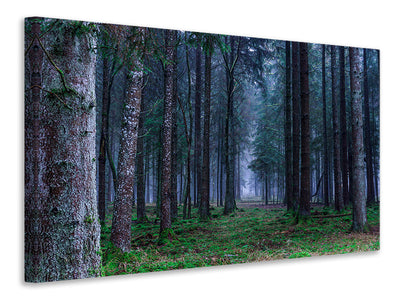 3-piece-canvas-print-fir-trees-forest