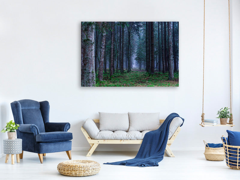 3-piece-canvas-print-fir-trees-forest