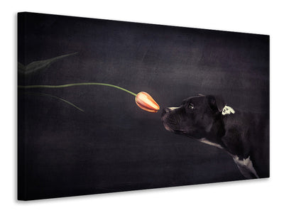 modern-3-piece-canvas-print-first-approach-hildegard-and-the-tulip