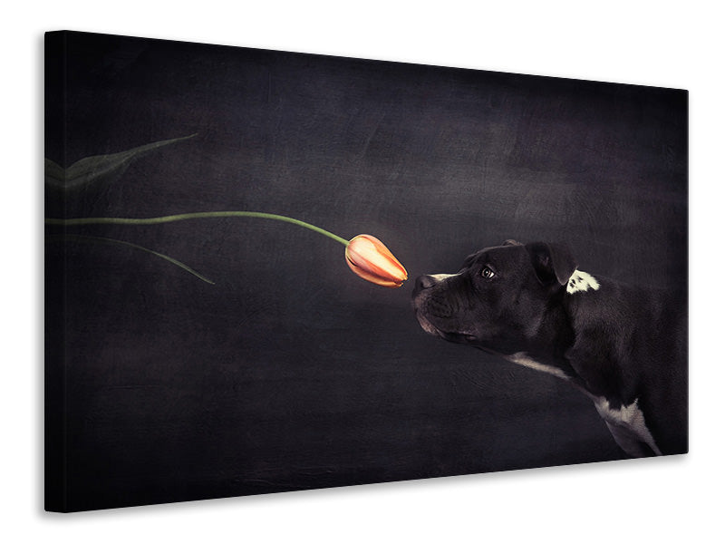 3-piece-canvas-print-first-approach-hildegard-and-the-tulip