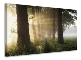 panoramic-3-piece-canvas-print-first-day-of-summer