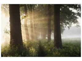 panoramic-canvas-print-first-day-of-summer