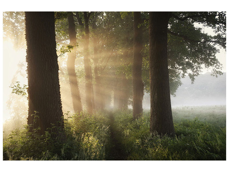 3-piece-canvas-print-first-day-of-summer
