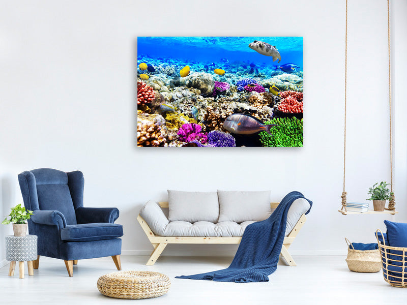 5-piece-canvas-print-fish-aquarium