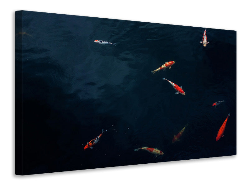 3-piece-canvas-print-fish-in-the-pond