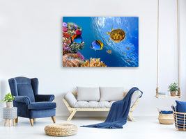 4-piece-canvas-print-fish-in-the-water