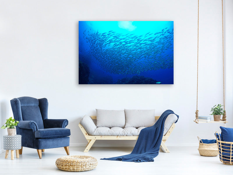 panoramic-canvas-print-fish-world