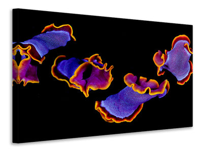 5-piece-canvas-print-flamenco