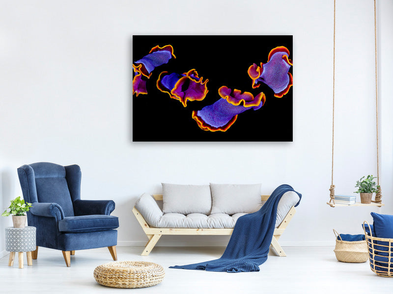 4-piece-canvas-print-flamenco