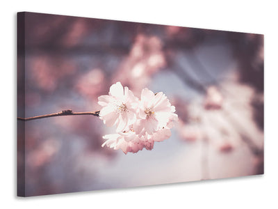 5-piece-canvas-print-flower-xl