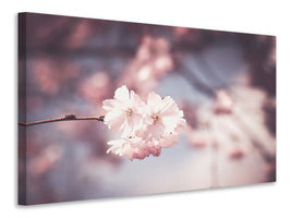 modern-4-piece-canvas-print-flower-xl