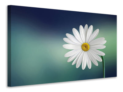 5-piece-canvas-print-flower