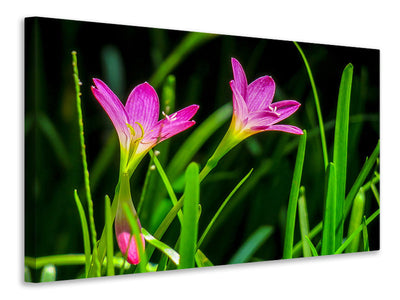 3-piece-canvas-print-flowers-in-nature