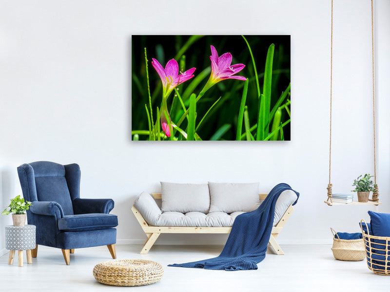 3-piece-canvas-print-flowers-in-nature