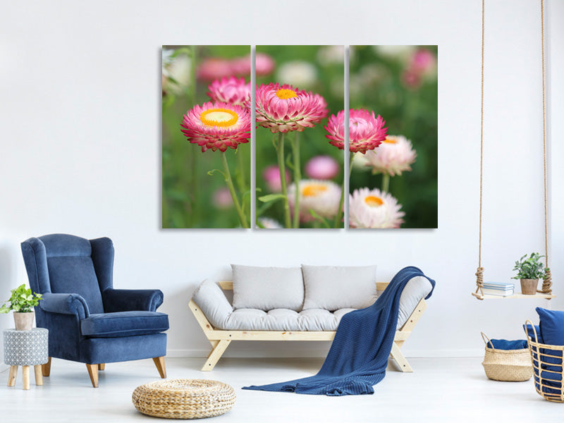 canvas-print-flowers-of-spring