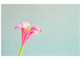 5-piece-canvas-print-flowers-origami