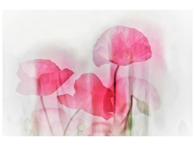 5-piece-canvas-print-flowers