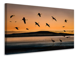 5-piece-canvas-print-fly-in-at-sunset