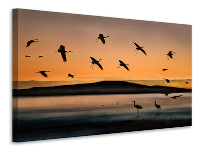modern-4-piece-canvas-print-fly-in-at-sunset