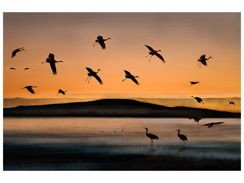 5-piece-canvas-print-fly-in-at-sunset