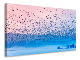 panoramic-3-piece-canvas-print-flying-in-the-fogging-morning
