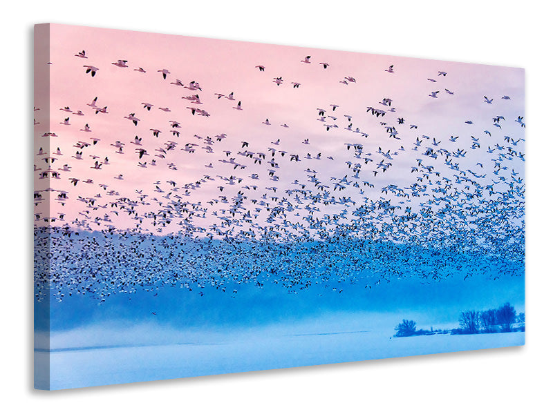 3-piece-canvas-print-flying-in-the-fogging-morning