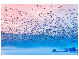 modern-3-piece-canvas-print-flying-in-the-fogging-morning