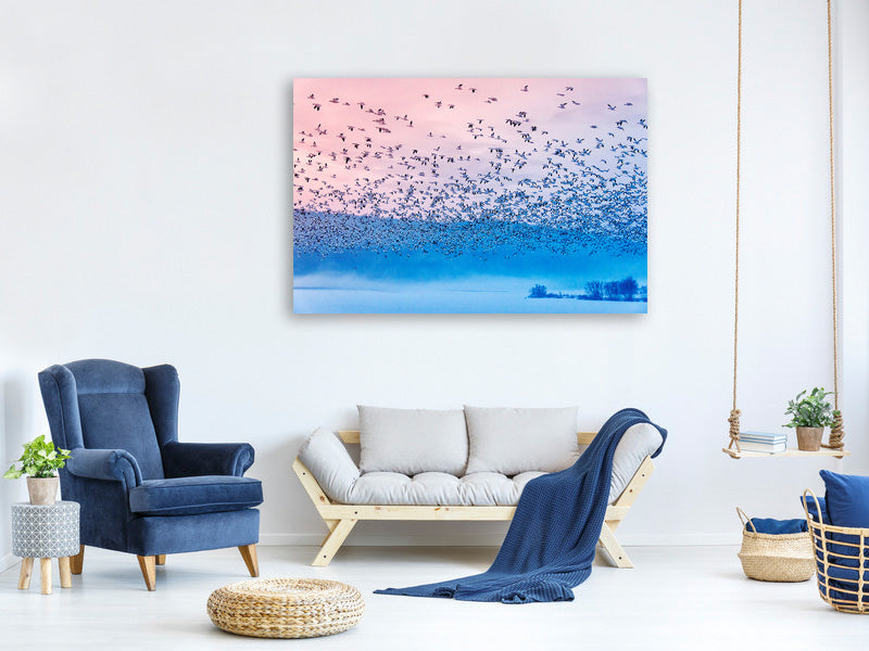 modern-3-piece-canvas-print-flying-in-the-fogging-morning