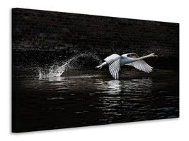 modern-3-piece-canvas-print-flying-swan